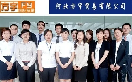Our team